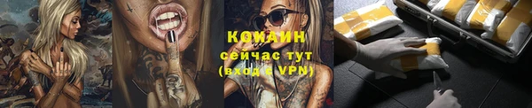 кокс Алексин