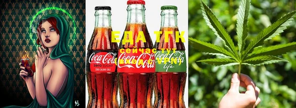 тгк Алзамай