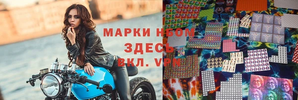 тгк Алзамай